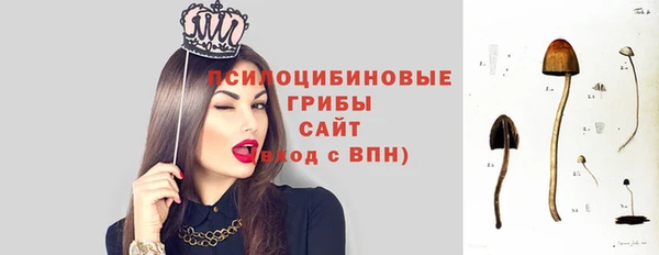 mdpv Абдулино