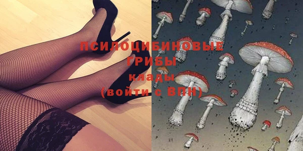 эйфоретик Абинск