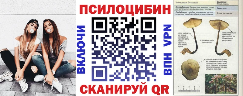 Галлюциногенные грибы Psilocybine cubensis  Липецк 